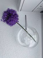 Glas Hängeblumentopf Wantblumentopf