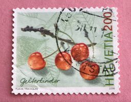 Nr.1207 Kirsche,Gelterkinder  GESTEMPELT 2006   