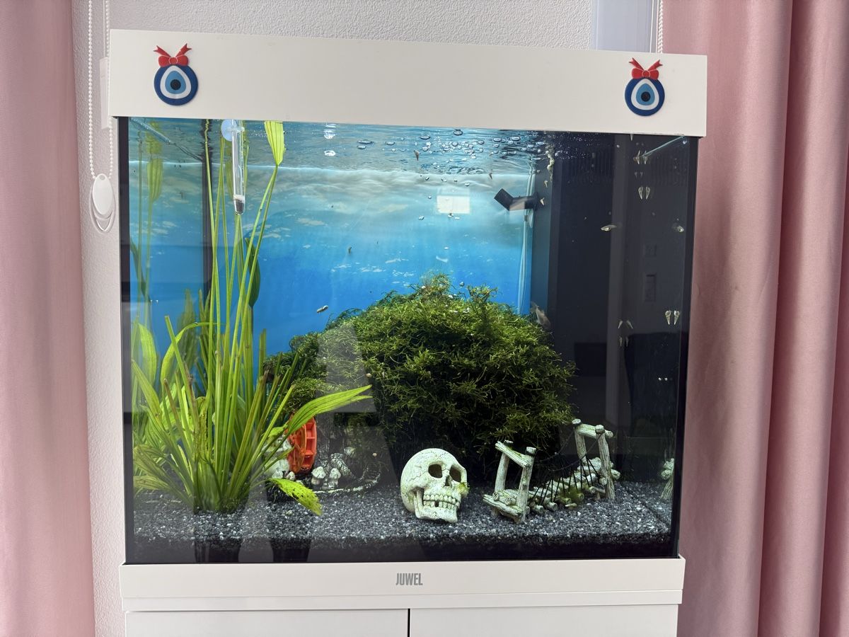 Juwel Acquari: Juwel Lido 120 – Usato da Dottikon venduto da MeMaTi03 3