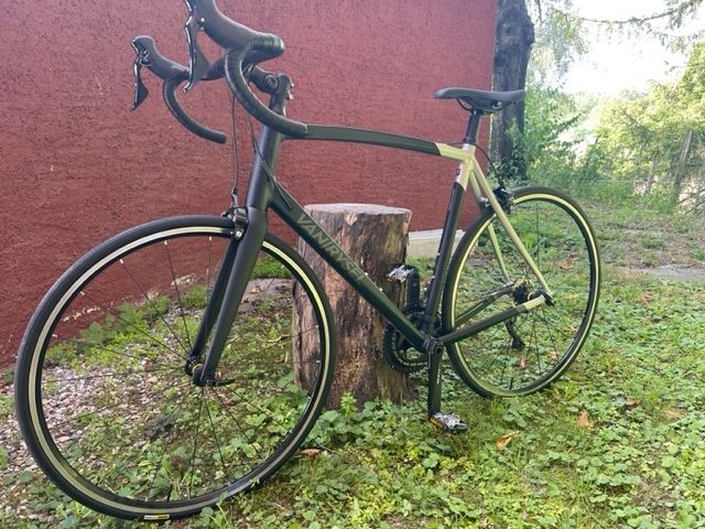 Van Rysel RCR road AF Renrad Shimano XL Kaufen auf Ricardo