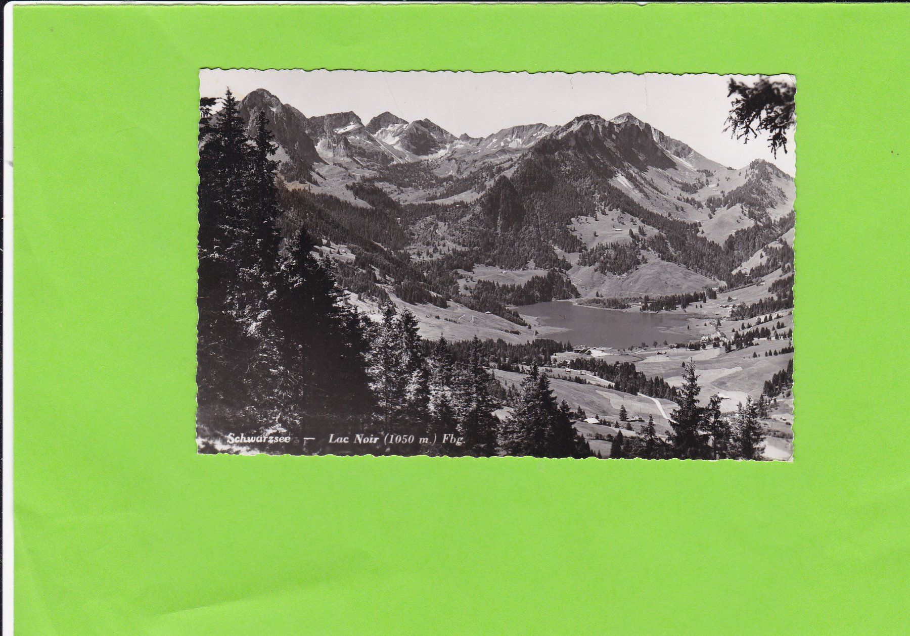 Cartoline postali: Lac Noir – Usato da St. Peterzell venduto da neckertal