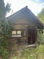 Cabane de jardin en bois