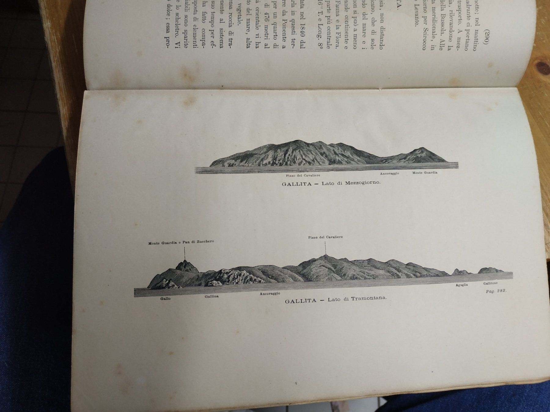 Libri: Schiff - Nave - Viaggi - "Crociera del Violante" - 1877 – Usato da Sorengo venduto da 74in 6