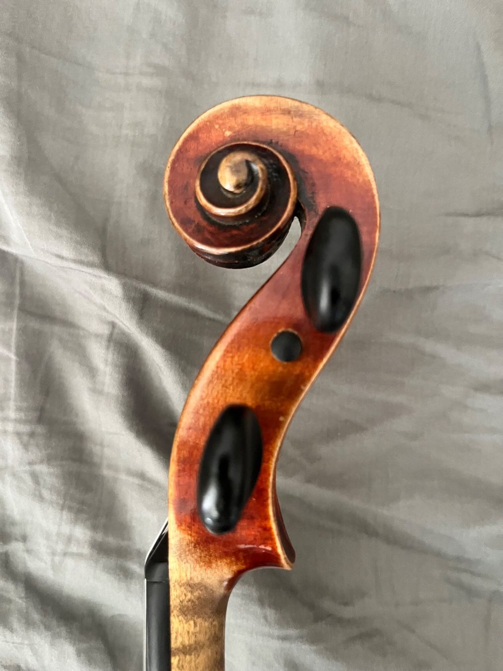 Strumenti musicali: Violine Conservatory Violin – Usato da Mönchaltorf venduto da jjjn 3