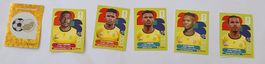 Panini WM 2026 Sticker Südafrika  Stk. 0.20 CHF