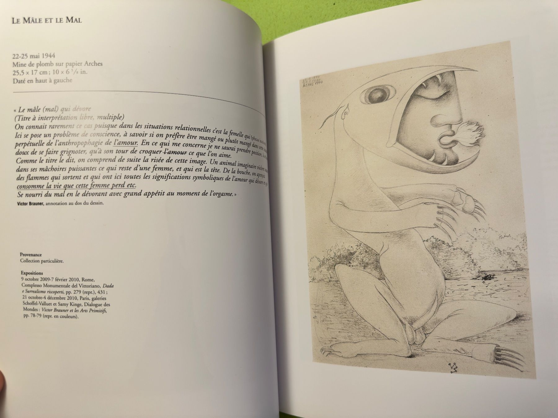 Libri: Michel Butor: Victor Brauner. – Usato da Zürich venduto da allp 5