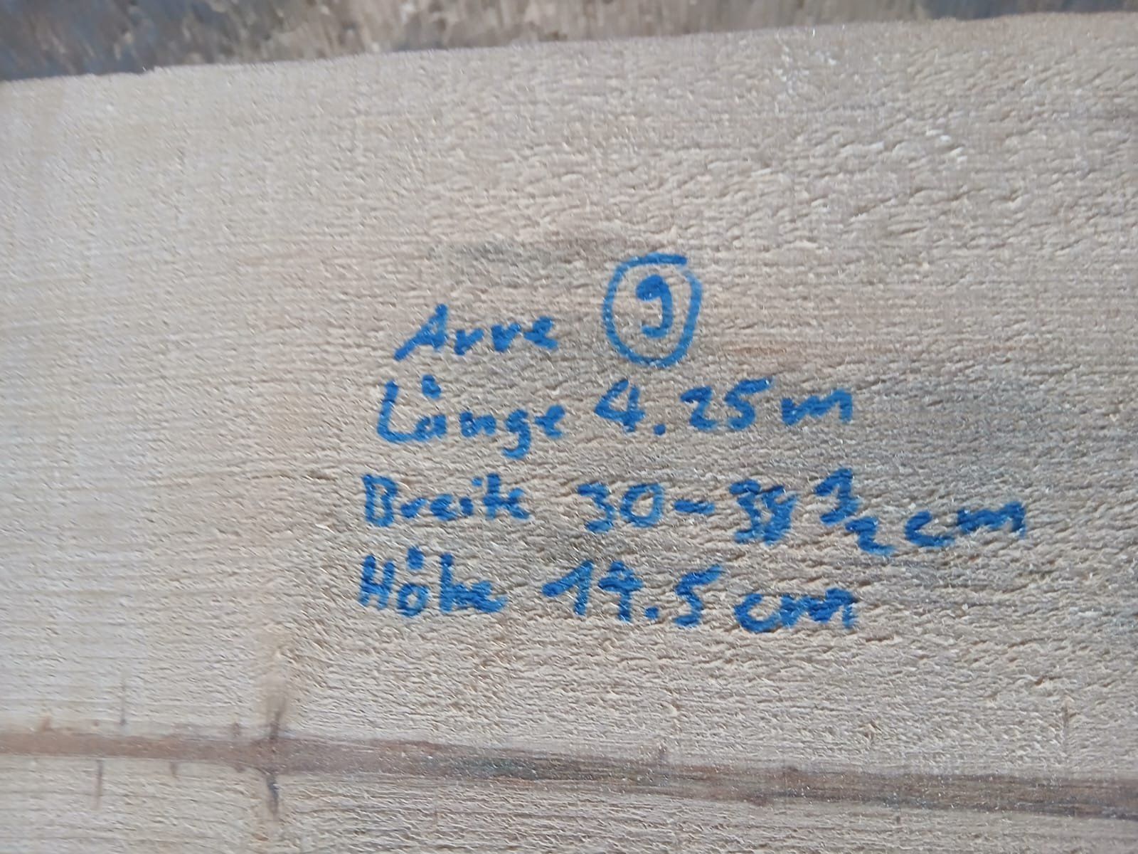 Articoli in legno: Arve Holz Balken Nr. 9 – Nuovo (secondo la descrizione) da Hasle LU venduto da Arag08 3