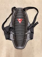 Dainese Rückenprotektor