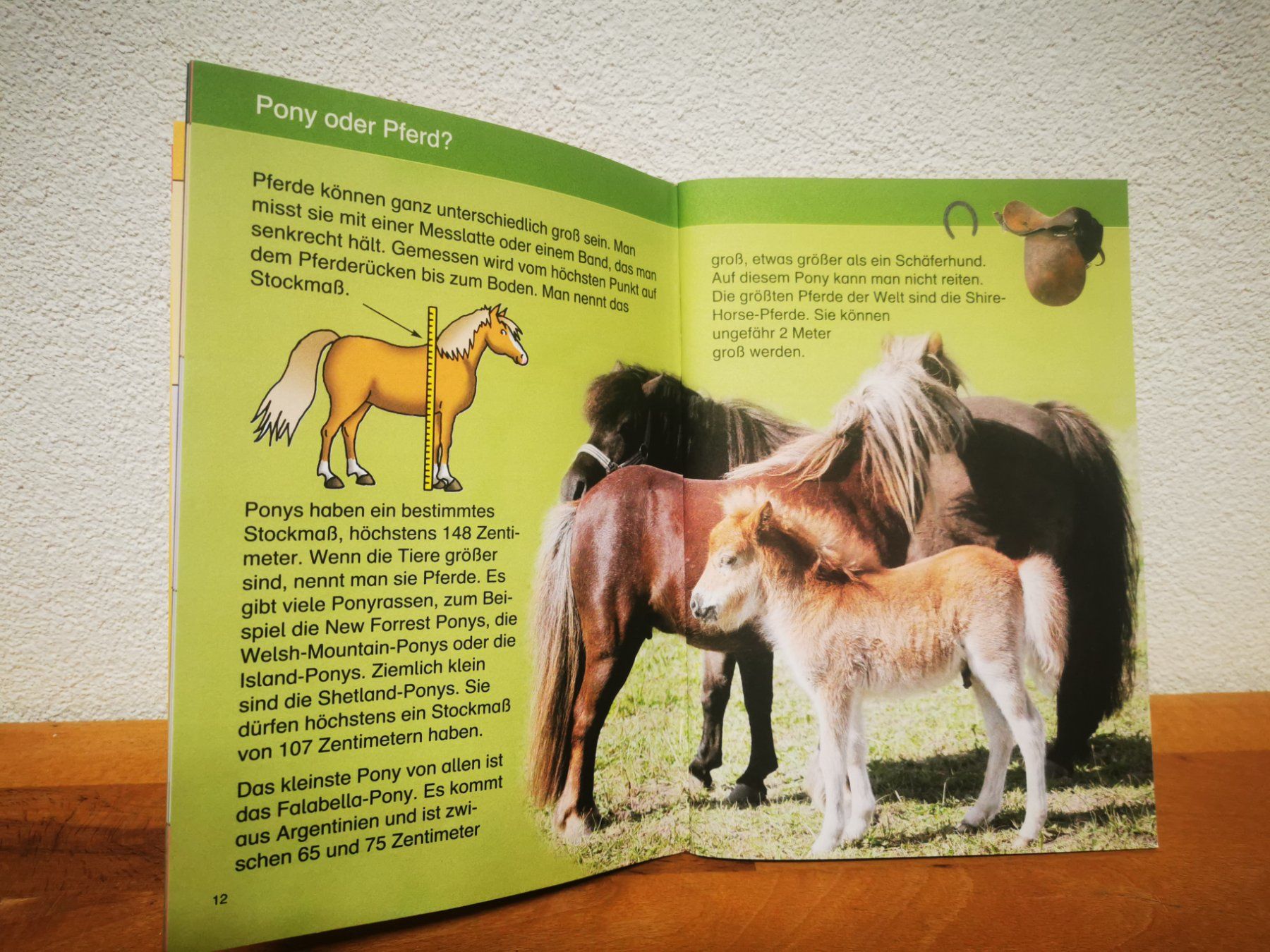 Schreibblöcke: LÜK Hausaufgabenheft - unbenutzt – Gebraucht aus Buchs ZH von Sutoris 4