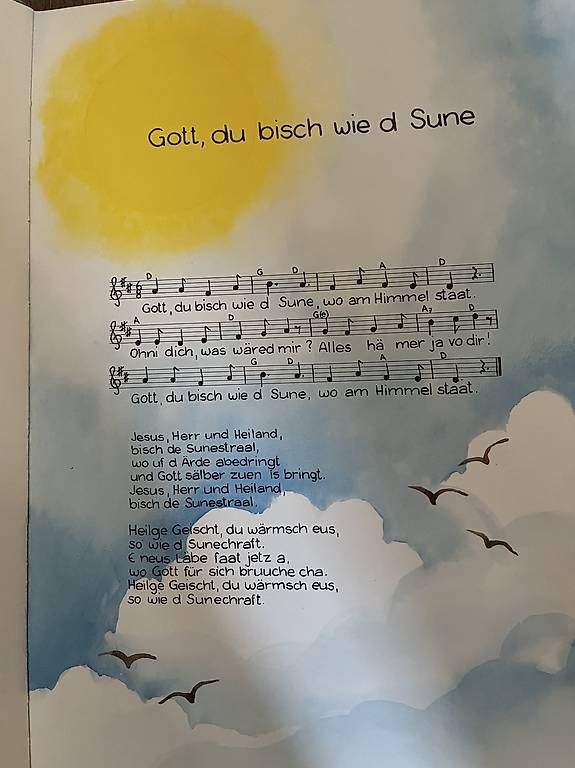 Libri: Liederbuch  – Usato da Schlierbach venduto da Simona023 1