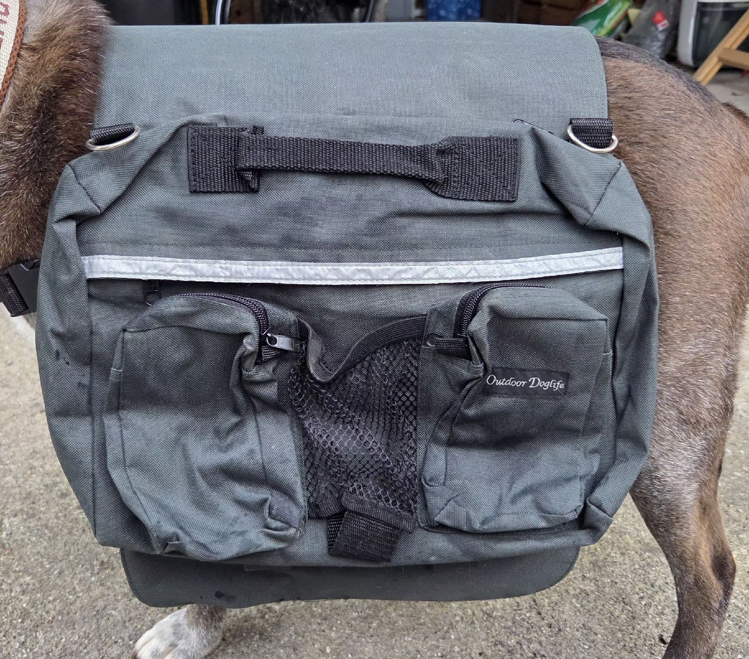 Zaini: Hunderucksack von Outdoor Doglife – Nuovo (secondo la descrizione) da Hallwil venduto da engebuehl 1