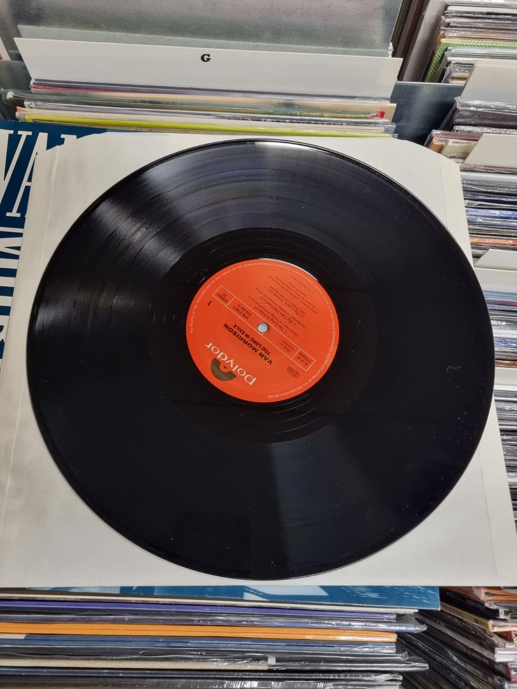 Dischi in vinile: Van Morrison – Days Like This LP – Usato da Wenslingen venduto da riger11 5