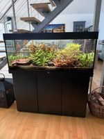 JUWEL RIO 240 Aquarium Komplettset inkl. Fischbesatz