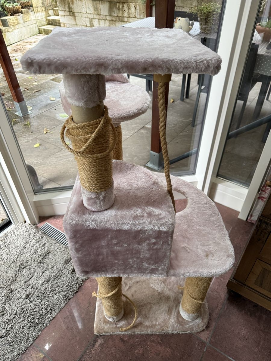 Katzenbaum - Kratzbaum: Katzen Kratzbaum – Gebraucht aus Oberhof von Babylonier 3