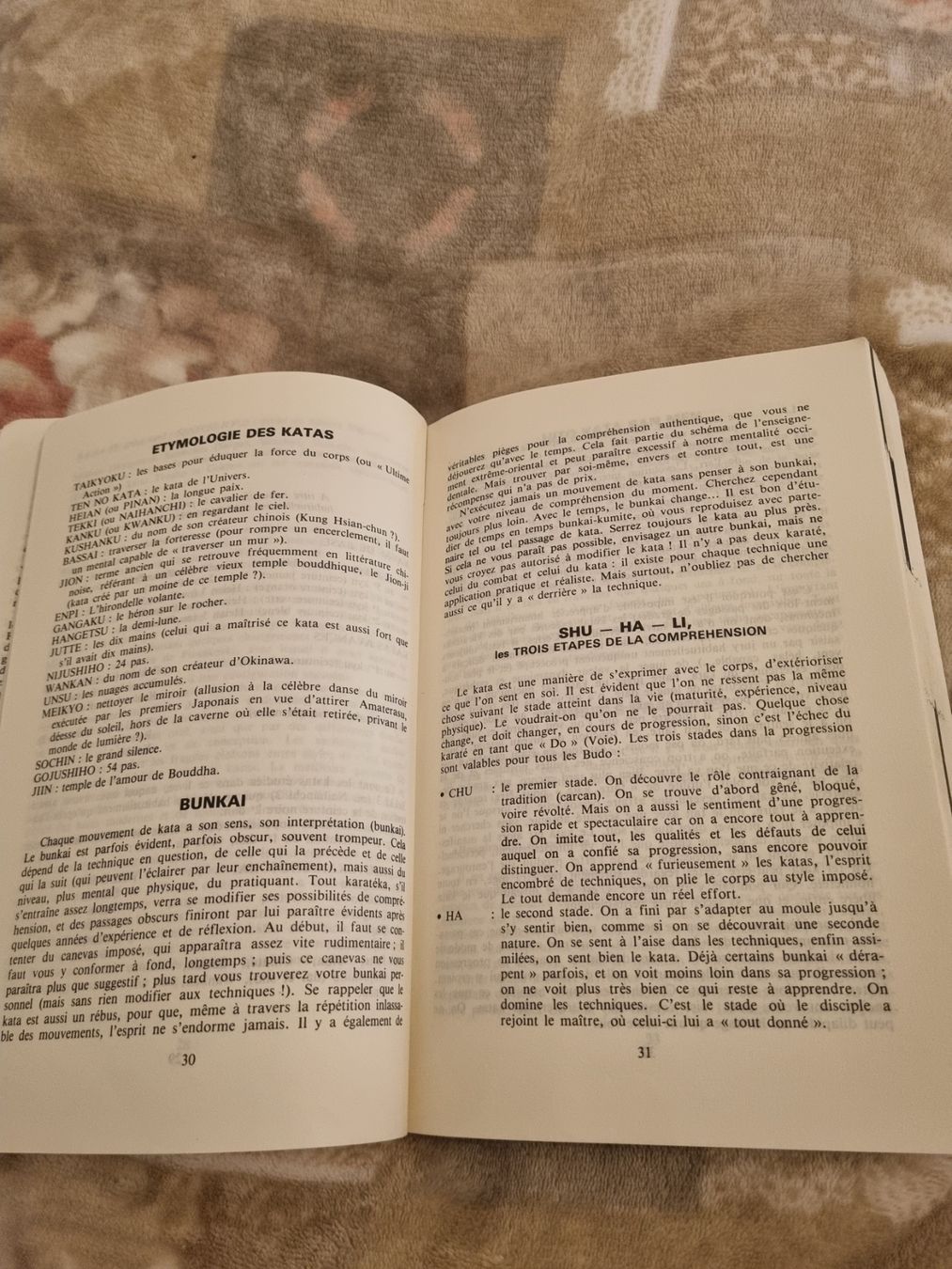 Livres: Livre Karaté-Do Katas: Techniques de base et avancées – D'occasion à Riddes par pierre-a-facettes 5
