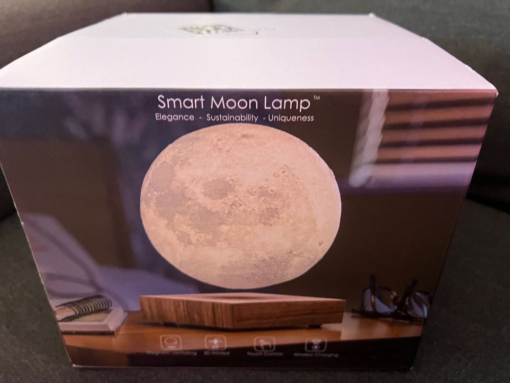 Smart Moon Lampe Gingko