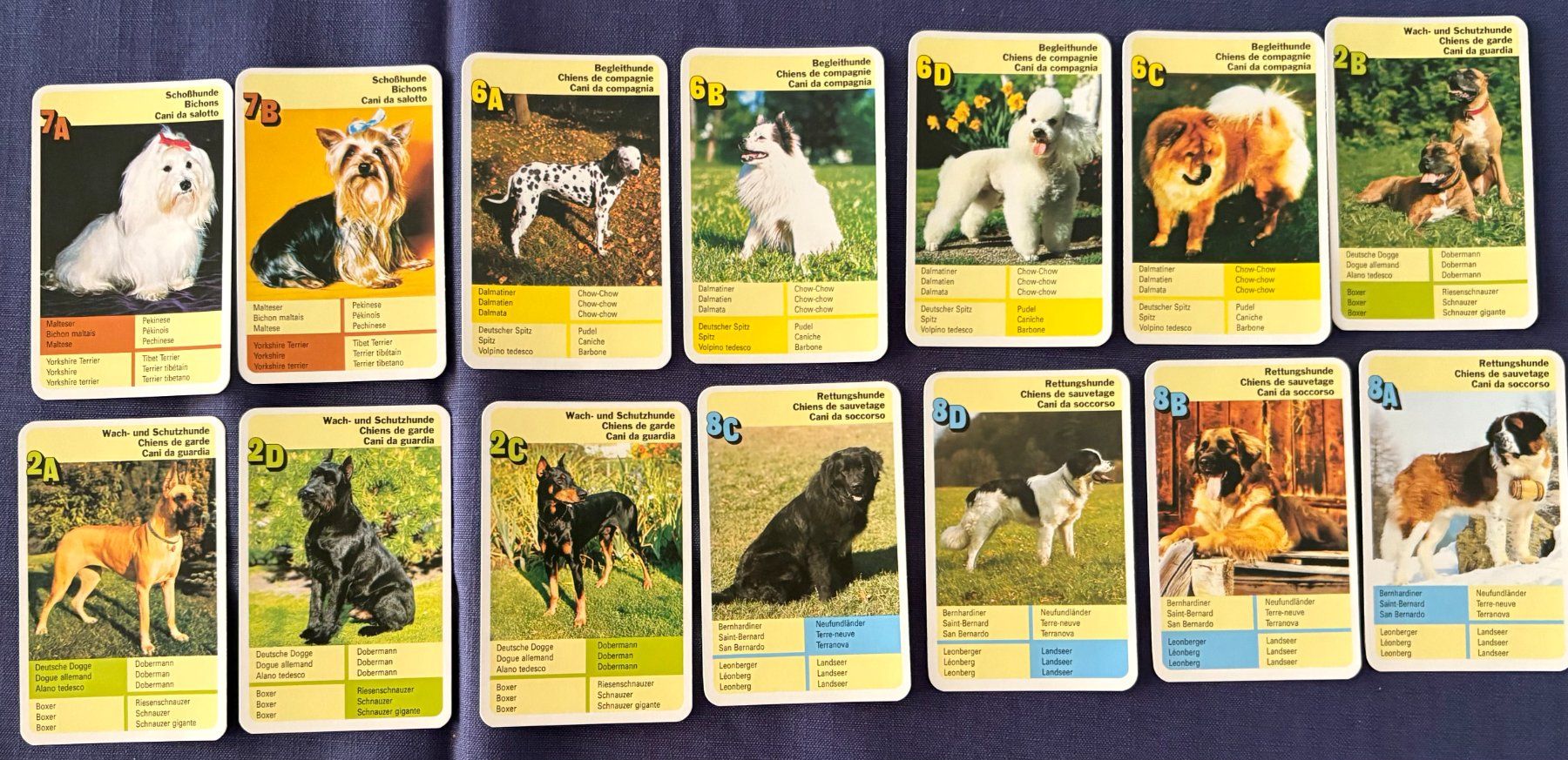 Jeux: QUARTETT HUNDE – D'occasion à Ostermundigen par wini63 2