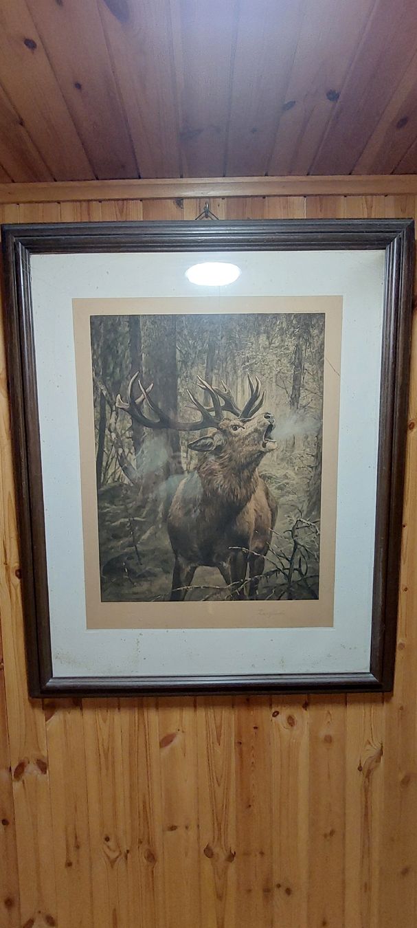 Poster & Bilder: Bild Hirsch Zwölfender – Gebraucht aus Vorderthal von Alpengaudi