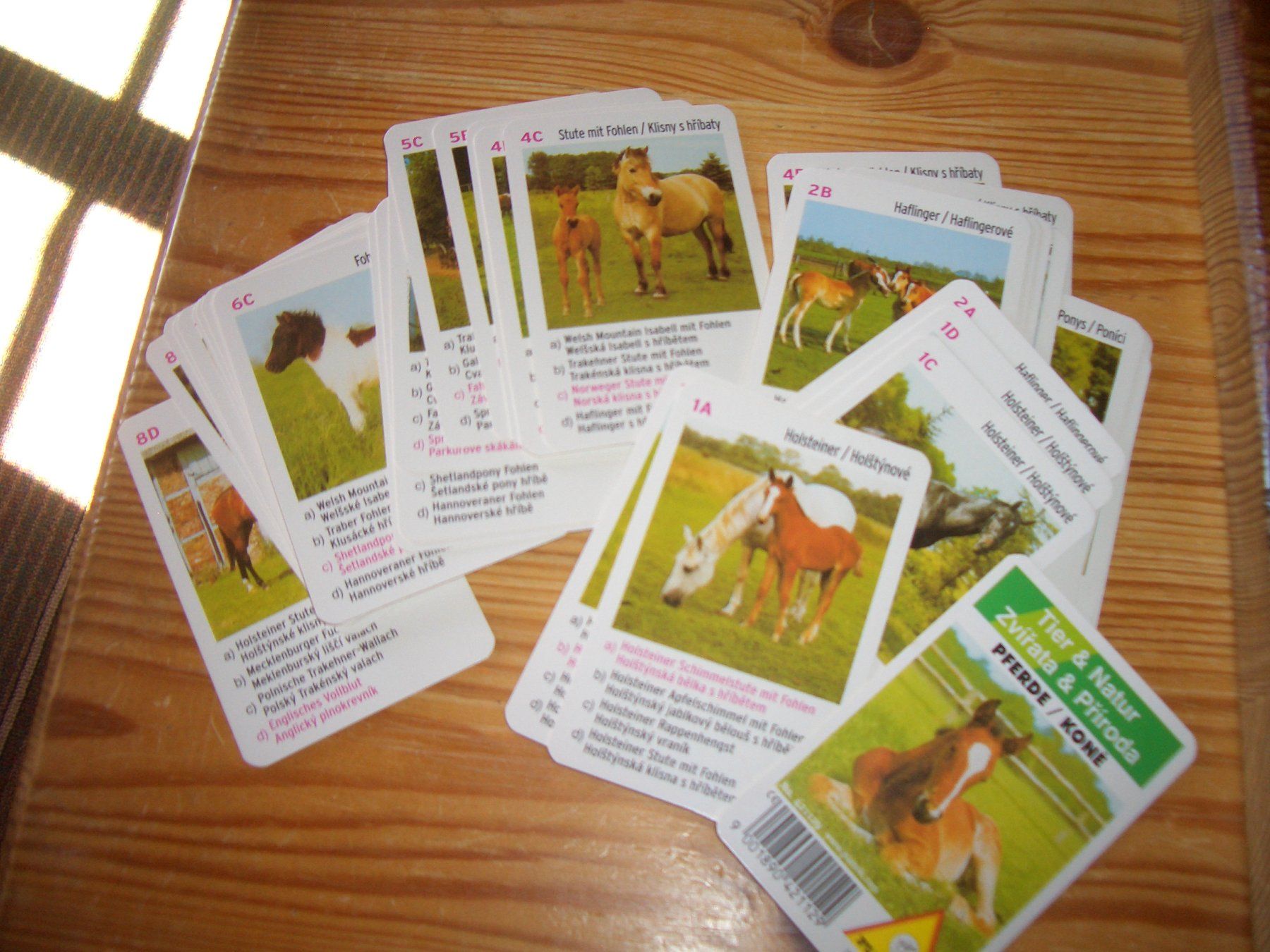Giochi: Tier & Natur Pferde-Quartet Spielkarten – Usato da Präz venduto da Eroberto 1