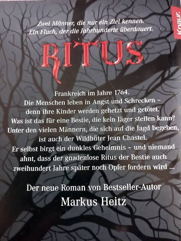 Bücher: "Ritus" von Markus Heitz – Gebraucht aus Bischofszell von ewa-shop 1