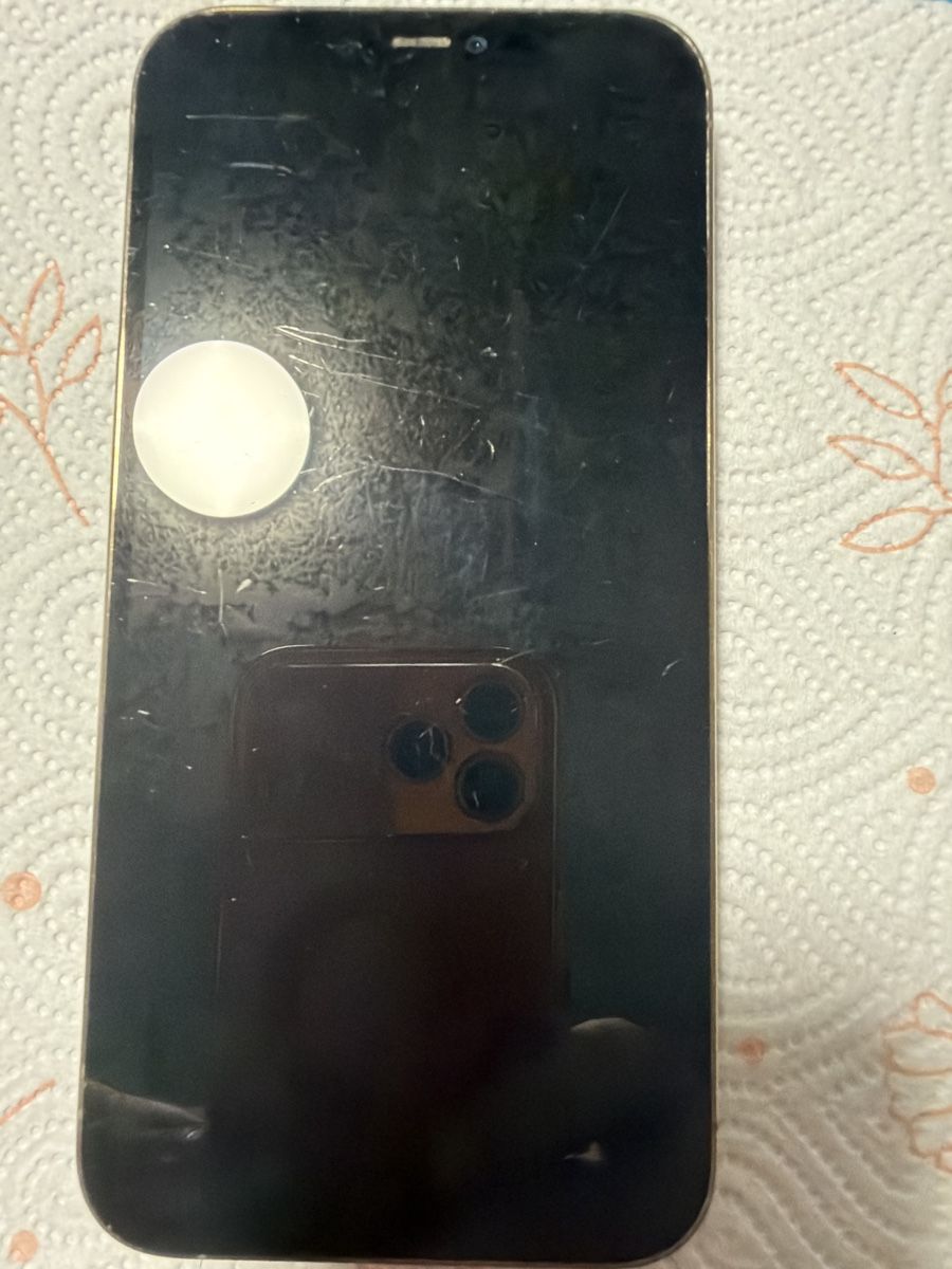 Apple Handys / Smartphones: Apple iPhone 12 Pro Max 256GB Graphit guter Zustand – Gebraucht aus Bazenheid von osm_9bjy 2