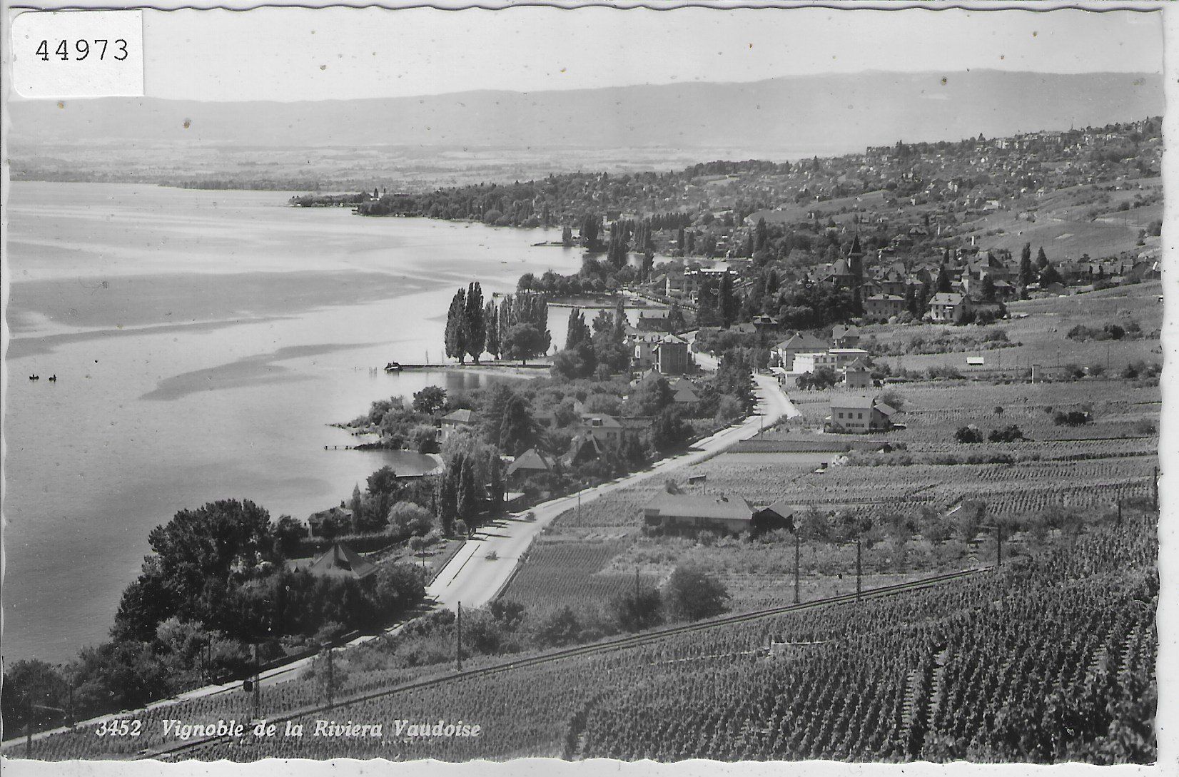 Cartes postales: Vignoble de la Riviera Vaudoise – D'occasion à Ettingen par Kartenplanet