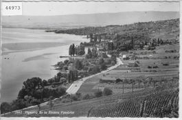 Vignoble de la Riviera Vaudoise