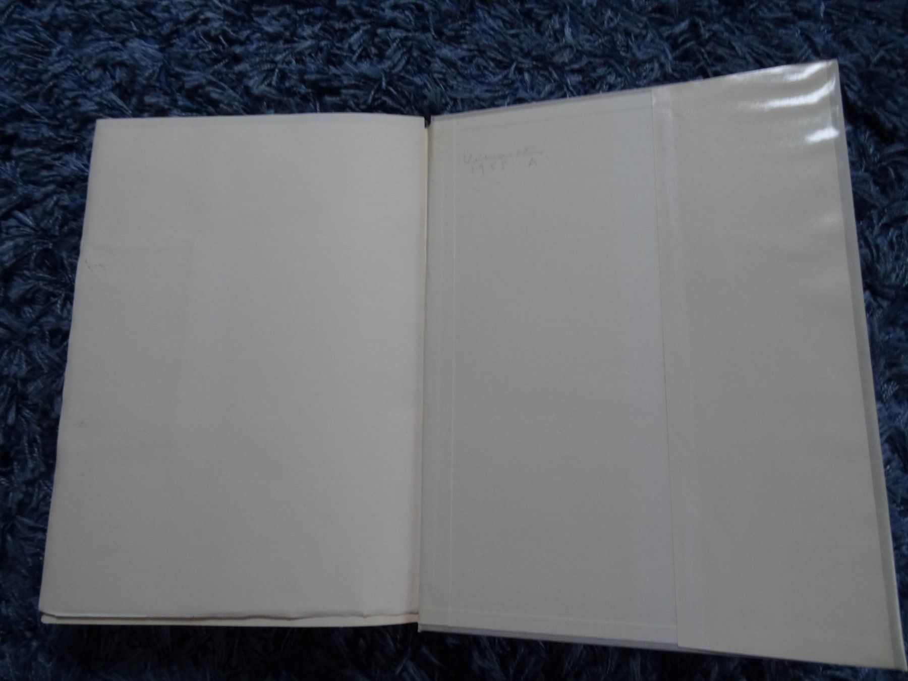 Libri: Pablo Picasso von Wilhelm Boeck, 1955 – Usato da Lupfig venduto da Buerkli20 5