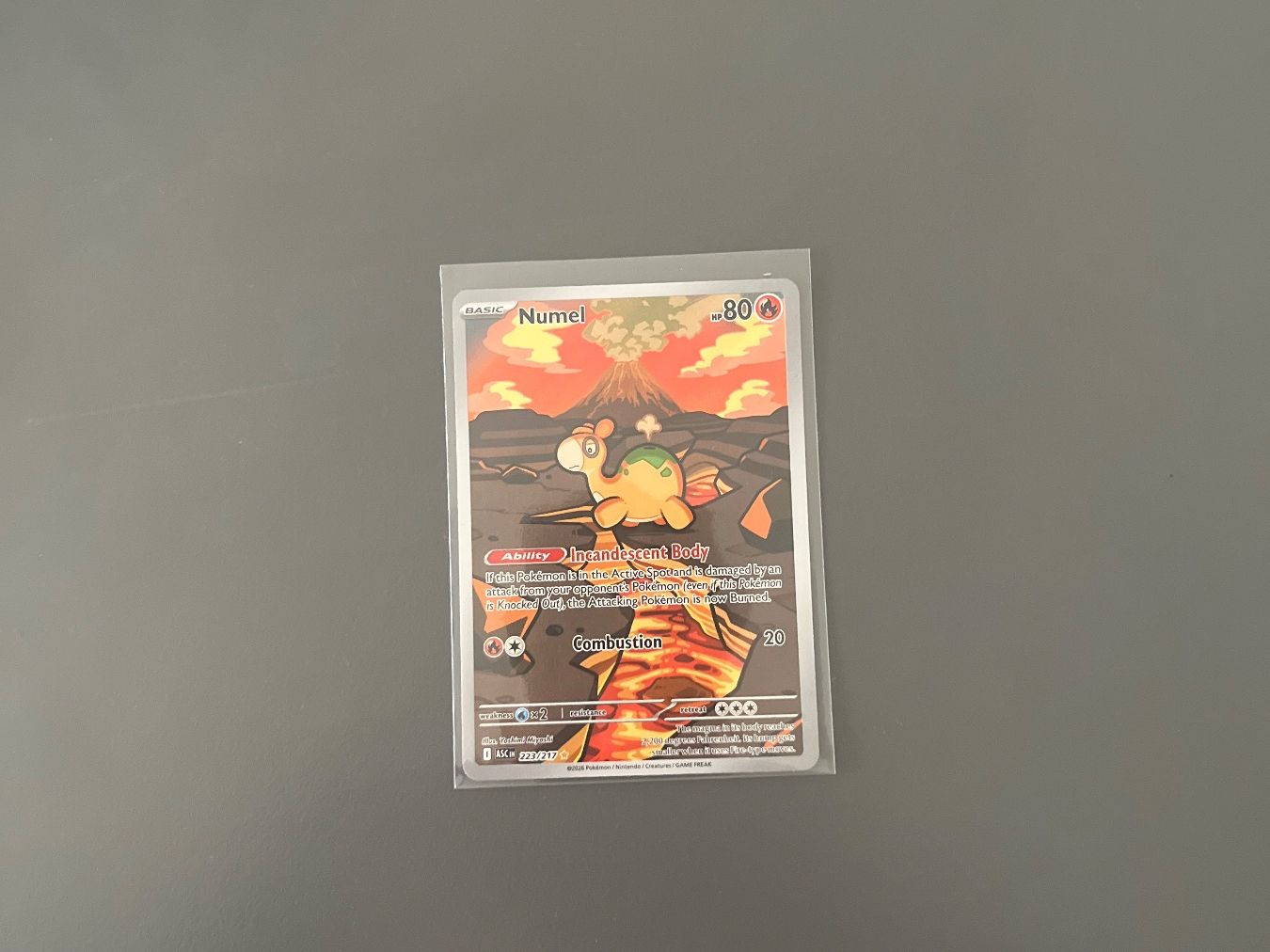 Pokémon Sammelbilder & Trading cards: Pokémon Numel AR – Gebraucht aus Stäfa von and_8dr6