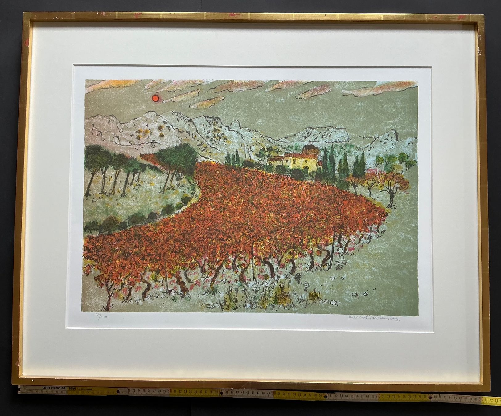 Grafica & Litografie: Marco Richterich - Lithographie – Usato da Pieterlen venduto da LM1446