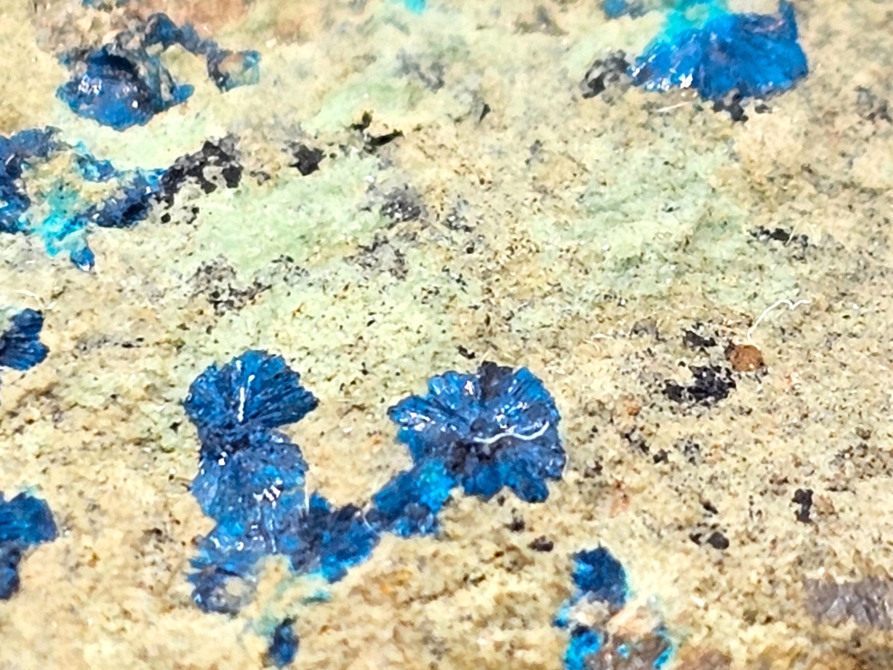 Mineralien & Heilsteine: RaRe Cornetite - Congo – Gebraucht aus Figino von minshop 4