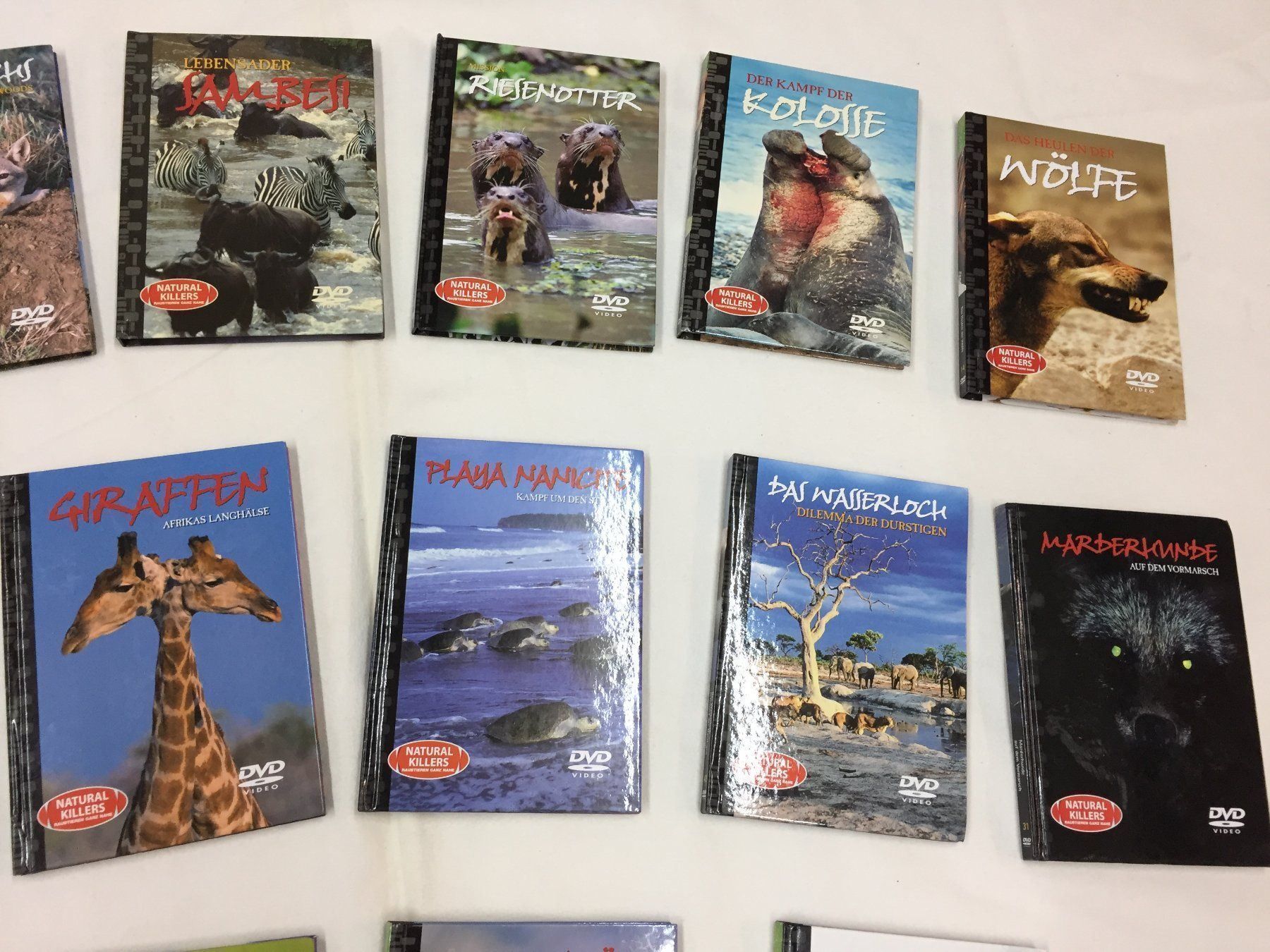 Tutti i DVDs: 18 x DVD "Raubtieren" – Usato da Schaffhausen venduto da sparzone 2