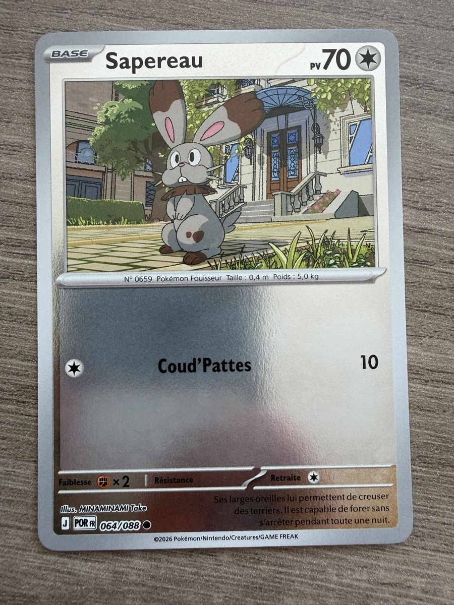 Pokémon Carte collezionabili: Sapereau (POR064) – Nuovo (secondo la descrizione) da Vevey venduto da Matx