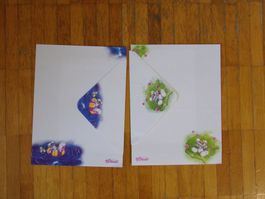 Diddl Briefpapier   2 Stück  A5   ALT    Set C38