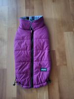 Hundemänteli für den Winter
