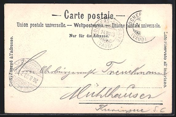 Cartoline postali: Der Salondampfer Winkelried auf dem Lac  – Usato da Berlin venduto da bartko-reher 1