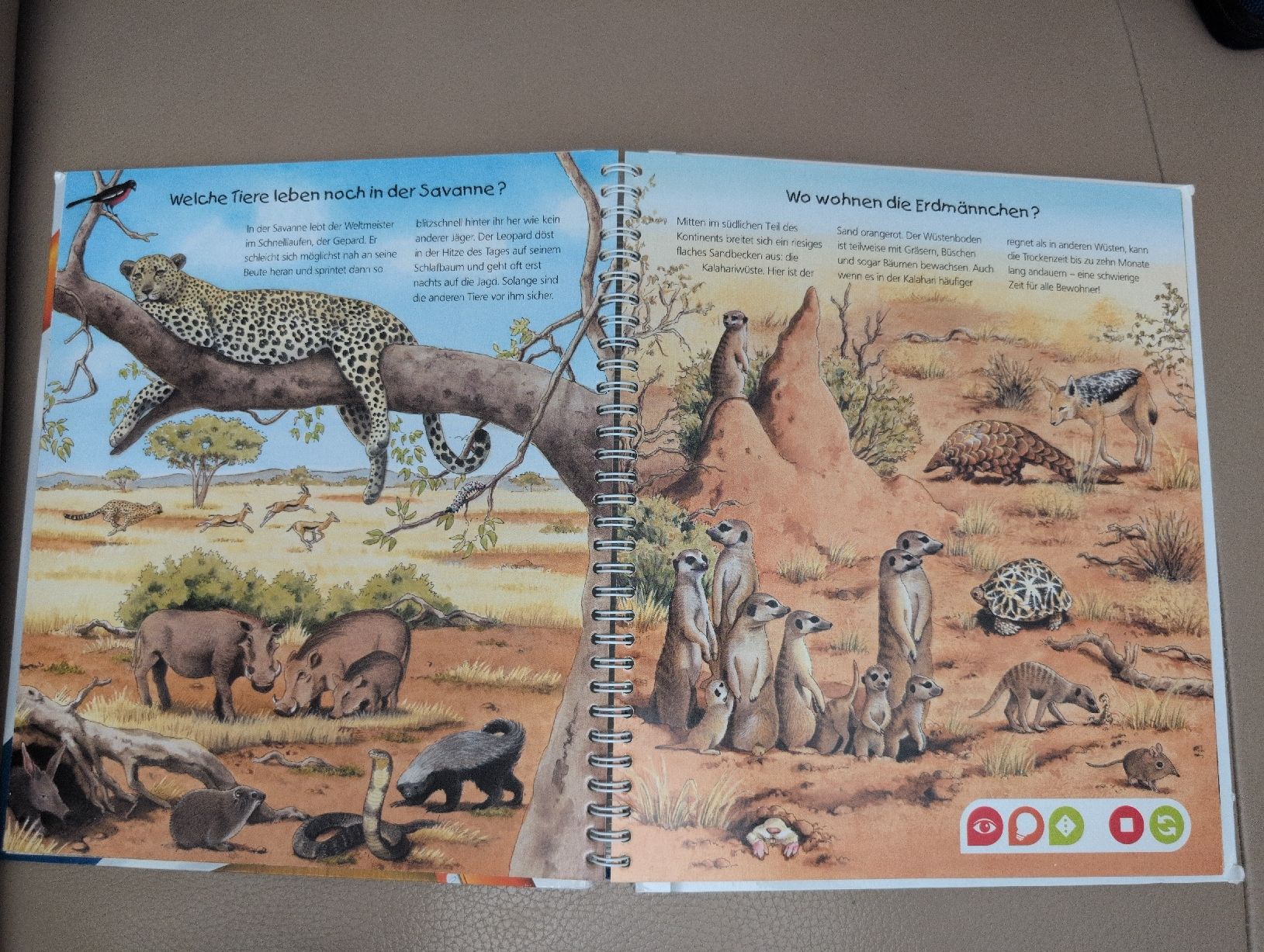 Libri: tiptoi Entdecke die Tiere Afrikas Buch – Usato da Schwerzenbach venduto da _charme_ 5