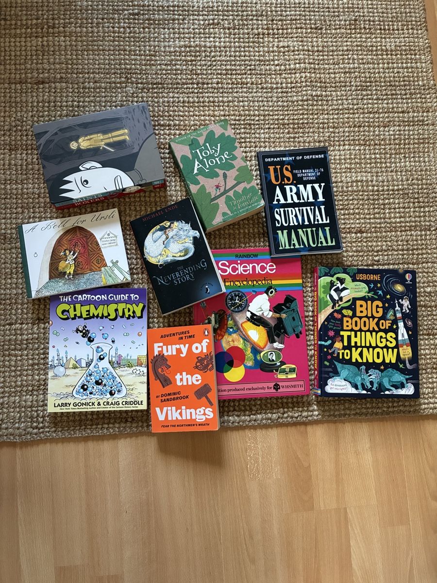 Bücher: 10 English Books – Gebraucht aus Bern von wisemagpie