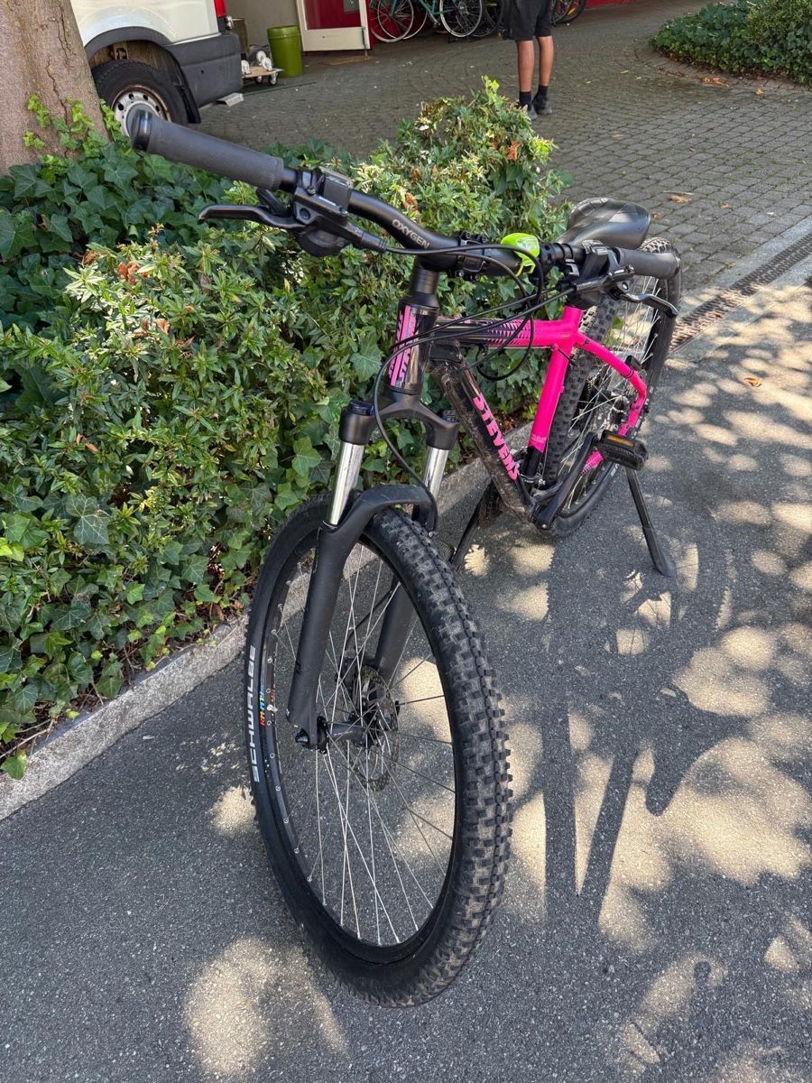 Stevens Velos: Stevens Tonga Mountainbike – Gebraucht aus Reinach BL von P.Wild