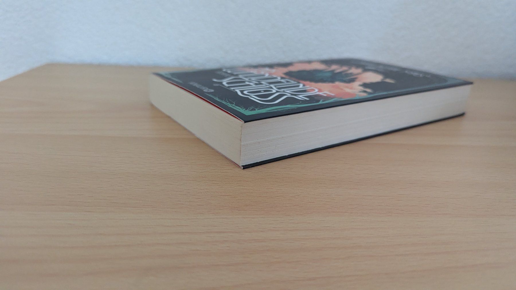 Livres: Das wandelnde Schloss – D'occasion à Rudolfstetten par Unaaffchen 2