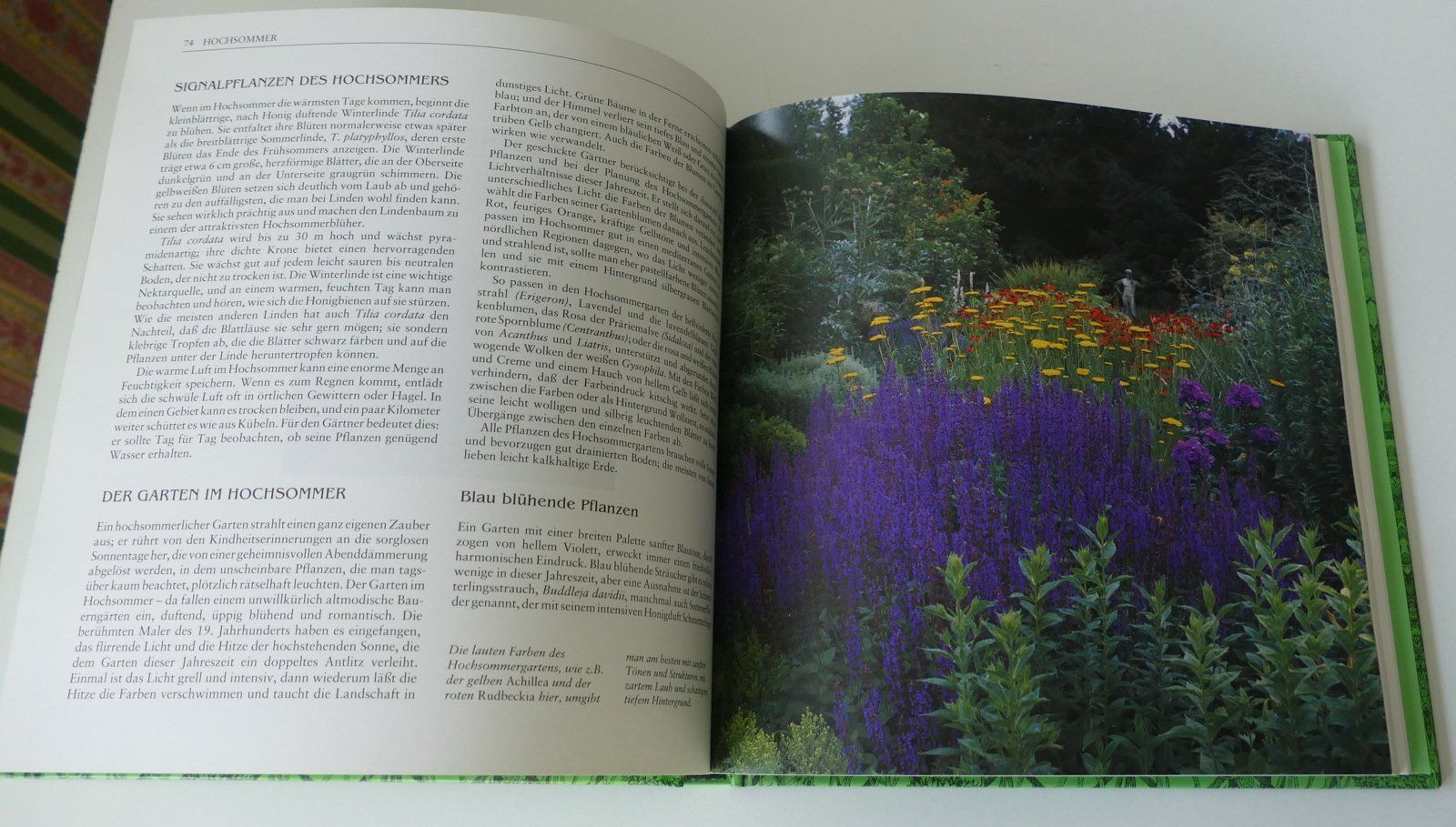 Libri: Buch – Usato da Dietlikon venduto da kes_j6d7 2
