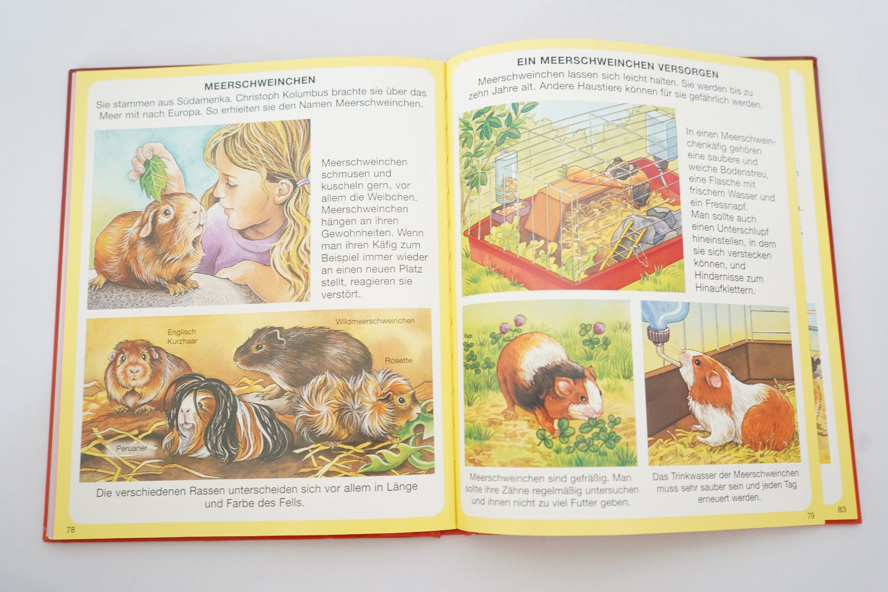 Libri: Haustiere – Usato da Ebikon venduto da lin_jr8x 1