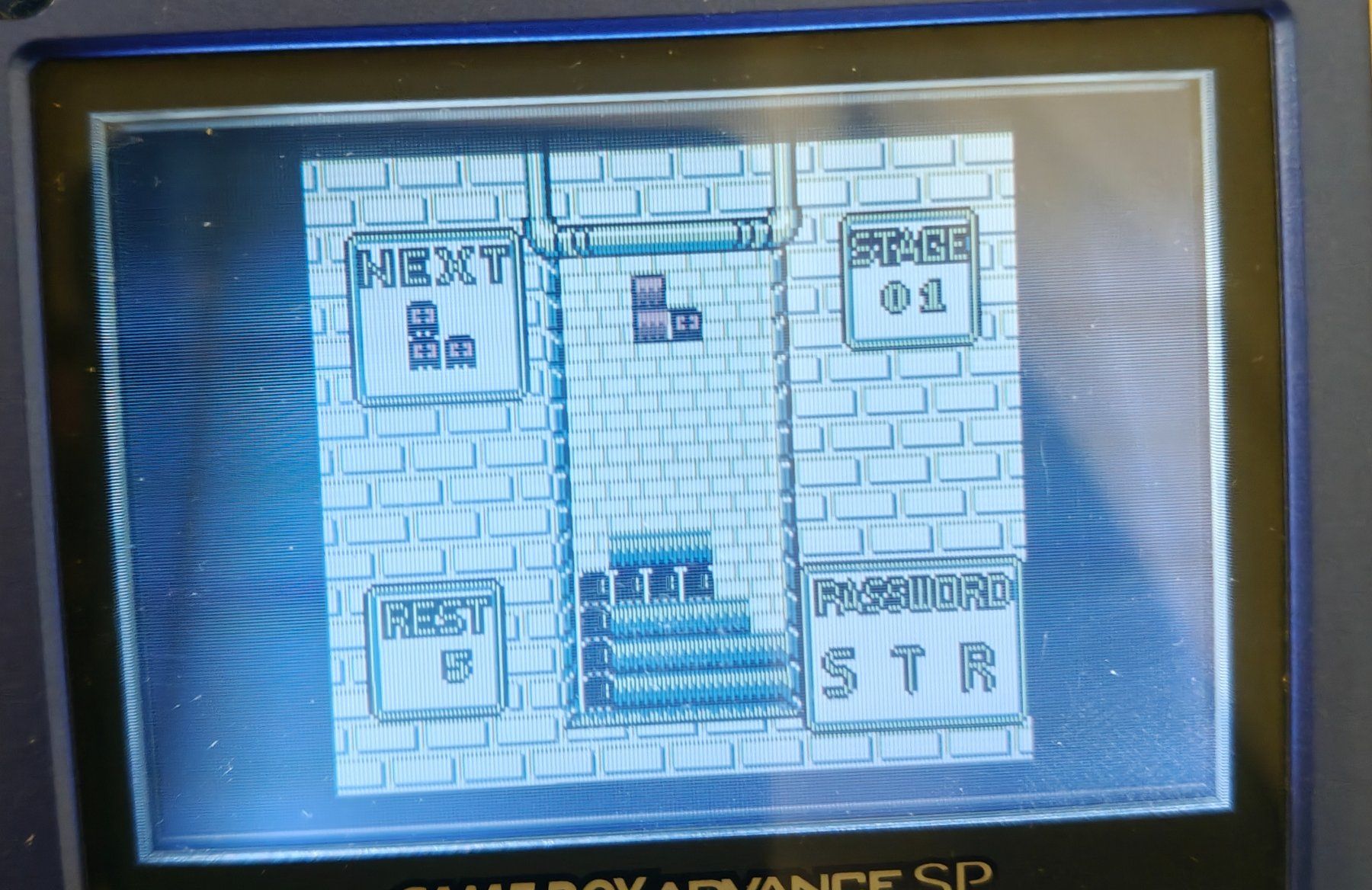 Nintendo Giochi: Nintendo Gameboy - Pac Panic (Gameboy Modul) - englisch – Usato da Muttenz venduto da IkaSul 2