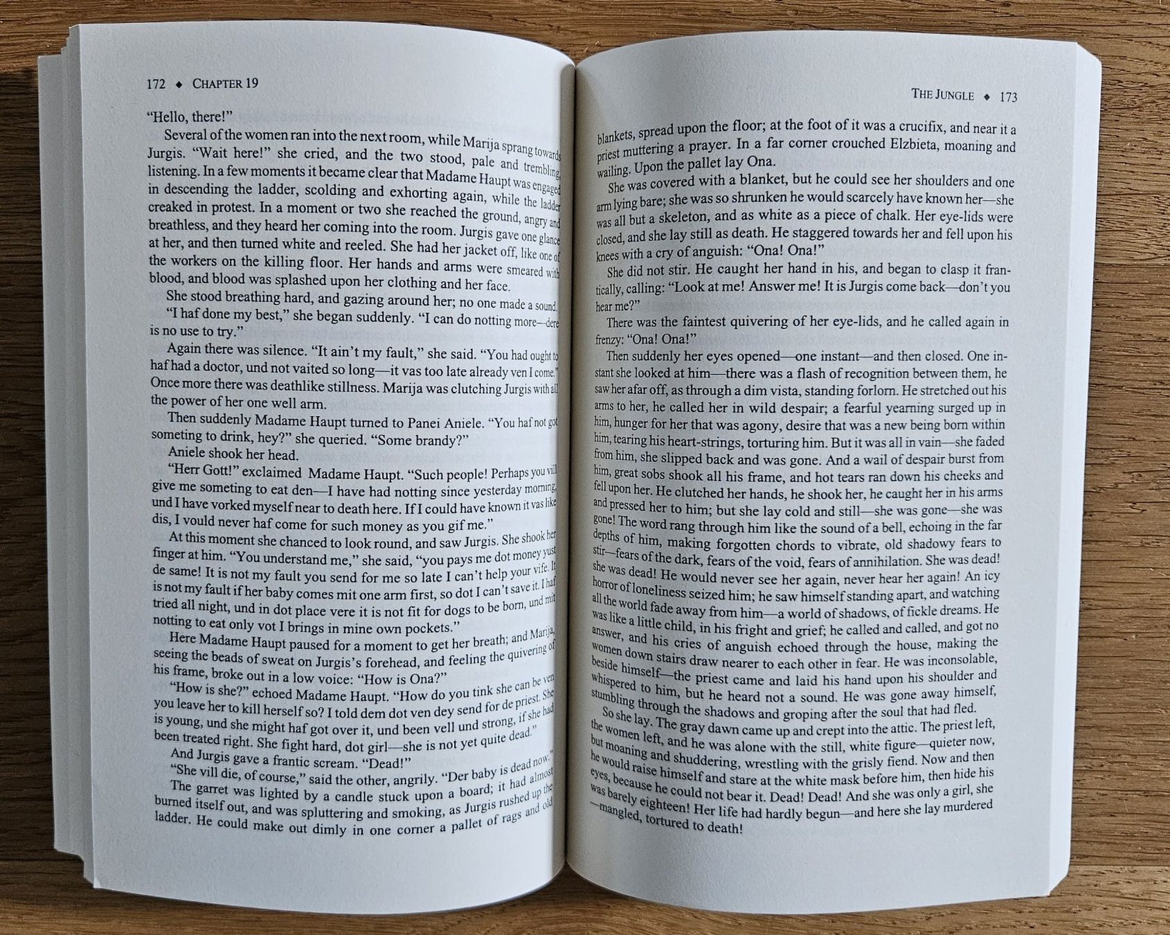 Libri: Upton Sinclair: The Jungle – Usato da Schaffhausen venduto da asyouwestley 4