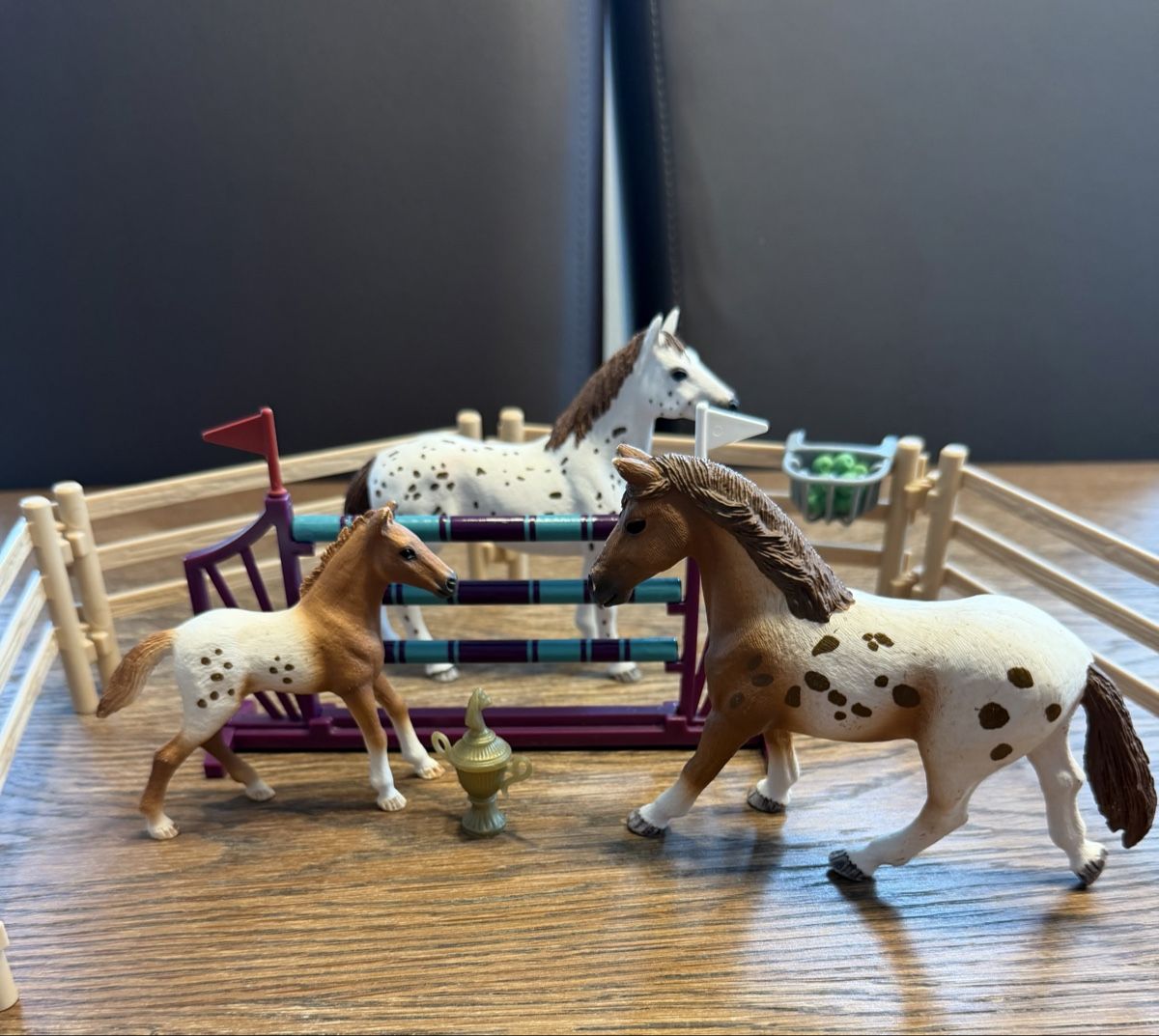 Schleich Giocattoli: Schleich Lisas Turnier - Training – Usato da Auw venduto da grisu81 1