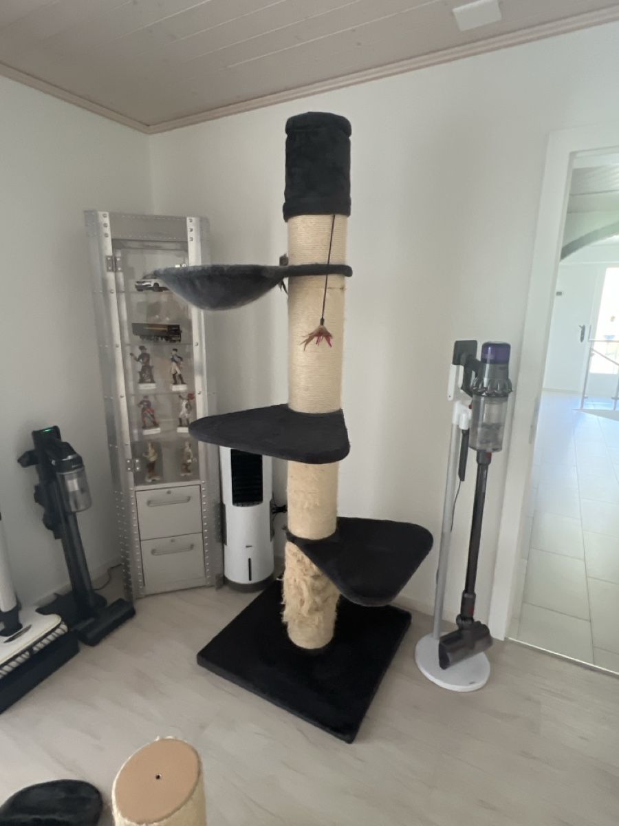 Tiragraffi: Katzenbaum  – Usato da Rothenburg venduto da Toulouse1