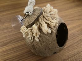 Hängendes Kokosnuss-Versteck für Terrarien und Kleintiere