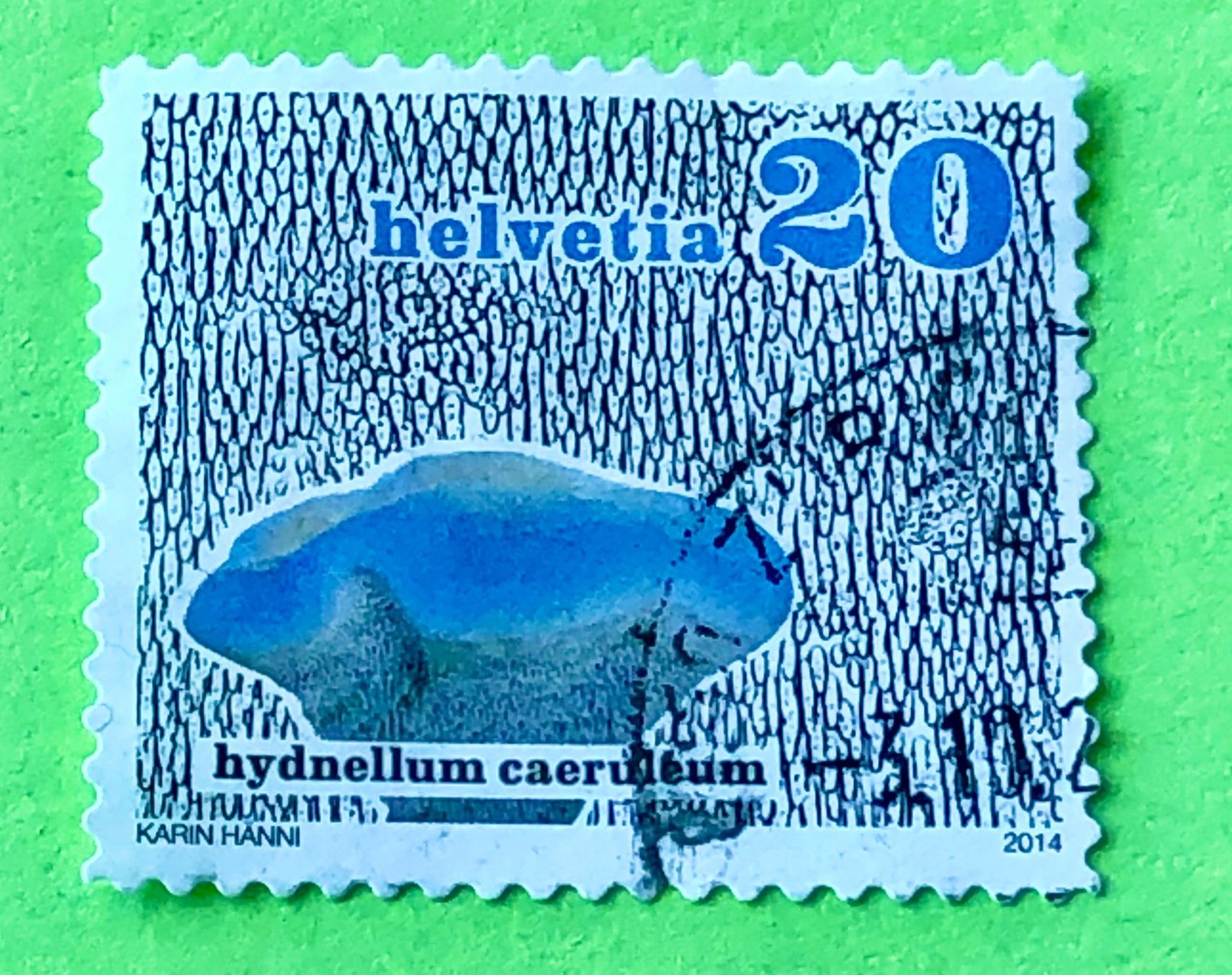 Tutti i francobolli: Nr.1505 Dauermarken Pilze GESTEMPELT 2014    – Usato da Aarau venduto da Billa007