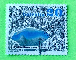 Nr.1505 Dauermarken Pilze GESTEMPELT 2014   