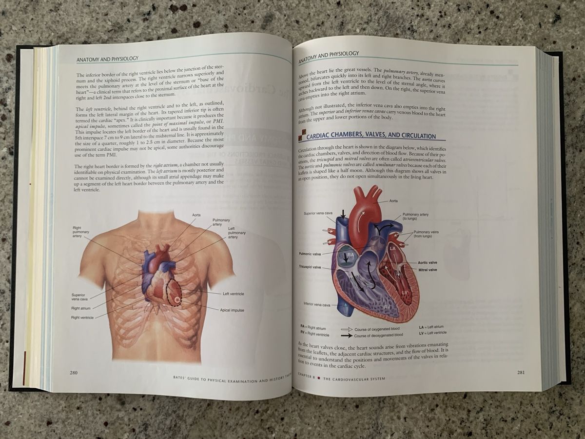 Libri: Bates' Guide to Physical Examination 9th Edition – Usato da Genève venduto da sunsustains 4